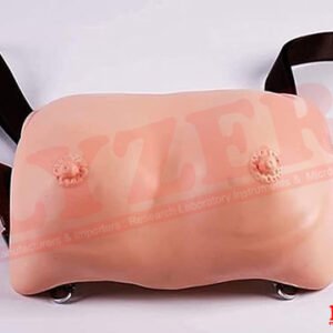Breast Examination Model