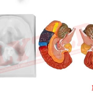 Colour Brain Imported Fibre