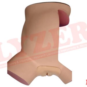 Jack Type Delivery Doll