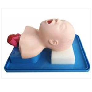 CPR Training Manikin Head Model