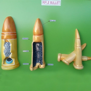 Rifle Bullet Cross-Section Educational Model